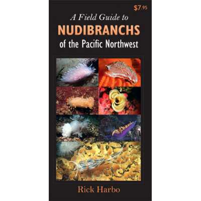 A Field Guide to Nudibranchs of the Pacific Northwest (Folding Pocket Guide)