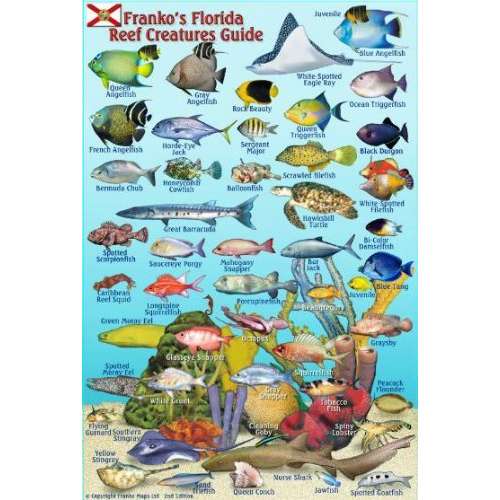 Outdoors, Camping & Travel All Outdoors Books Fish & Sealife