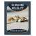 Seashore Wildlife Nature Activity Book (Grades 3-5)
