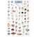 Northwest Coastal Invertebrates   (Laminated 2-Sided Card)