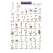 Pacific Northwest Wildflowers  (Laminated 2-Sided Card)