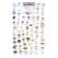 California Coastal Invertebrates  (Laminated 2-Sided Card)
