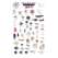 Northeast Coastal Invertebrates  (Laminated 2-Sided Card)