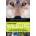 North American Wildlife: An Illustrated Guide to 2,000 Plants and Animals