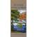 Panama: Tropical Trees (Folding Pocket Guide)