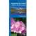 Washington Trees & Wildflowers (Folding Pocket Guide)