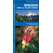 Oregon Trees & Wildflowers (Folding Pocket Guide)