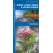 Great Lakes Trees & Wildflowers (Folding Pocket Guide)