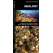 Geology  (Folding Pocket Guide)