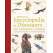 Firefly Encyclopedia of Dinosaurs and Prehistoric Animals