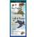 Sea Turtles of the Atlantic & Gulf of Mexico