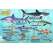Northwest Pacific Coast Sharks & Rays