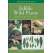 Edible Wild Plants: Wild Foods From Dirt To Plate
