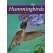 Hummingbirds Playing Cards