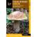Foraging Mushrooms Oregon: Finding, Identifying, and Preparing Edible Wild Mushrooms