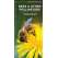 Bees & Other Pollinators: A Folding Pocket Guide to the Status of Familiar Species