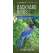 Backyard Birds of Western North America: A Folding Pocket Guide to Common Backyard Birds