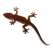 Gecko MAGNET