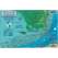 Turks & Caicos Dive Map & Reef Creatures Guide LAMINATED CARD