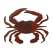 Blue Crab - Magnet - Paracay