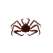 King Crab v2 Small - Magnet - Paracay