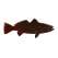 Redfish - Magnet - Paracay
