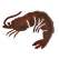 SHRIMP-magnet-paracay