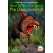 What Do We Know About the Chupacabra? - Book - Paracay