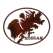 Kodiak Island Oval - MAGNET -Paracay