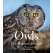 Owls - The Majestic Hunters - Book - Paracay