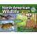 North American Wildlife Coloring Book - Book - Paracay