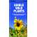 Edible Wild Plants (Folding Pocket Guide)
