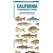 California Freshwater Fishes - Pocket Guide - Paracay
