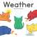 Curious Cats: Weather - Book - Paracay