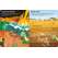 Lift the Flap: Dinosaurs - Board Book - Paracay