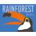 Rainforest - Book - Paracay