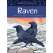 Raven - Book - Paracay