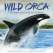Wild Orca - Book - Paracay