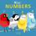 Wild! Numbers - Book - Paracay