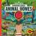 Marvelous Animal Homes: A Magic Lens Book - Book - Paracay