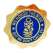 Honor the Blue - Lapel Pin - Paracay