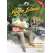 The Cruising Guide To The Virgin Islands 2025 Edition - Book - Paracay
