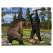 Bigfoot Revealed - 2026 - Calendar - Paracay