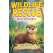 Wildlife Rescue:How To Save An Otter - Book - Paracay