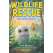 Wildlife Rescue:How To Save An Owl - Book - Paracay