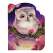 A Little Owl: An Animal Shaped Board Book - Book - Paracay