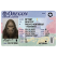 Bigfoot Drivers License - Oregon - Sticker - Paracay