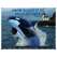 Marine Wildlife of the Pacific Northwest - 2027 - Calendar