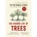 The Hidden Life of Trees - Book - Paracay