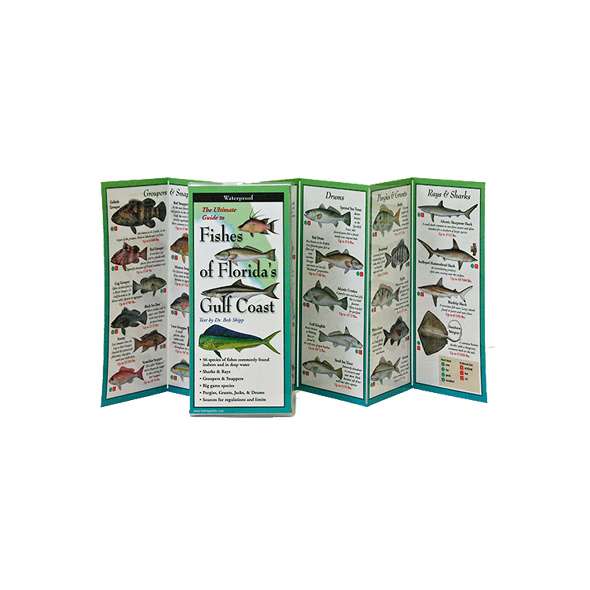 Fishes of Florida's Gulf Coast (Folding Guides)